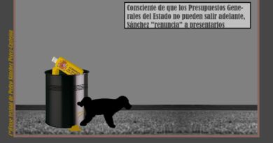 «Un gobierno sin presupuestos es como un coche sin gasolina»