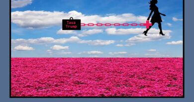 Un paseo por las nubes