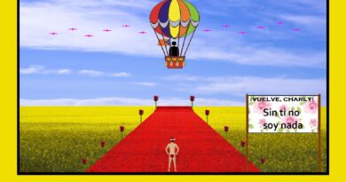 ¿Un regalo para Navidad?