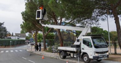 Boadilla comienza la campaña anual de podas Boadilla comienza la campaña anual de podas