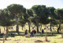 El Parque Forestal Adolfo Suárez de Pozuelo cuenta con más de 160 nuevos árboles dedicados a niños nacidos en 2024 y 2025