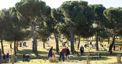 El Parque Forestal Adolfo Suárez de Pozuelo cuenta con más de 160 nuevos árboles dedicados a niños nacidos en 2024 y 2025