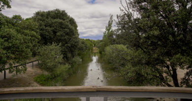 Las Rozas ejecuta 14 km de Arco Verde para conectar a los vecinos con zonas naturales Las Rozas ejecuta 14 km de Arco Verde para conectar a los vecinos con zonas naturales