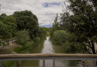 Las Rozas ejecuta 14 km de Arco Verde para conectar a los vecinos con zonas naturales Las Rozas ejecuta 14 km de Arco Verde para conectar a los vecinos con zonas naturales