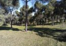 Majadahonda sanea  35 hectáreas de “La Dehesa” para su mejora medioambiental y prevención de incendios