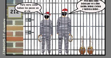 Cosas que hacer en Navidad