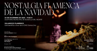 Boadilla del Monte acoge el espectáculo de música y danza Nostalgia Flamenca de la Navidad Boadilla del Monte acoge el espectáculo de música y danza Nostalgia Flamenca de la Navidad