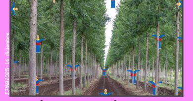 ¿Dónde está «Zapa»?