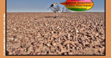 El síndrome del cometa Halley