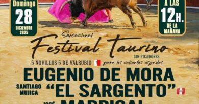 El Festival de San Martín de Valdeiglesias se celebrará el día 28 de diciembre
