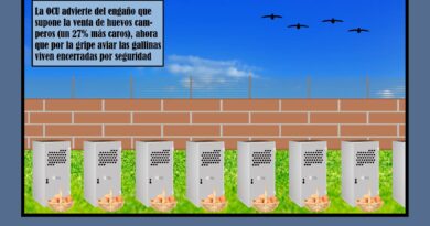 Huevos de gallinas criadas en el más riguroso «arresto domiciliario»