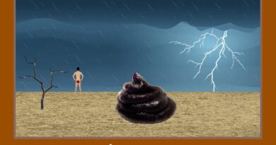 La corrupción vista desde lejos