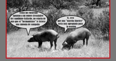 Malos tiempos para la lírica