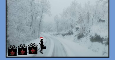 Olvídate de Papá Noel, pídeselo todo a ella