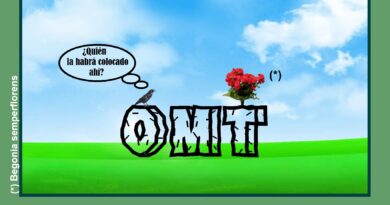 ¿Qué pinta ahí esa flor?