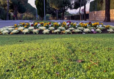 Boadilla inicia la campaña de flor de otoño con más de 23.000 plantas nuevas en espacios públicos Boadilla inicia la campaña de flor de otoño con más de 23.000 plantas nuevas en espacios públicos
