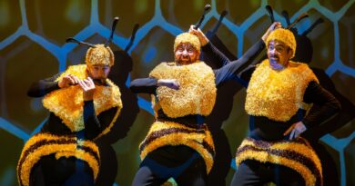 Danza, Esgrima, Teatro y  Jazz este fin de semana en Las Rozas