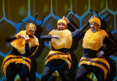 Danza, Esgrima, Teatro y  Jazz este fin de semana en Las Rozas