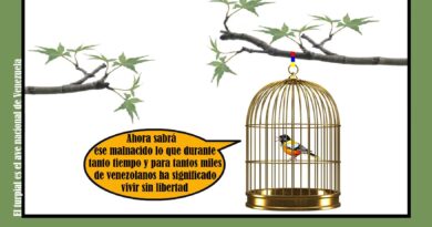 Delcy no puede ser la solución