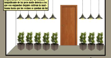 Las luces de la «maría»