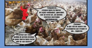 Sindicalismo gallináceo