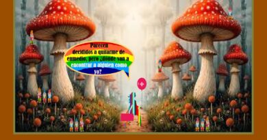 Yolanda en el País de las Maravillas