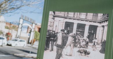 Planes para el fin de semana en Las Rozas