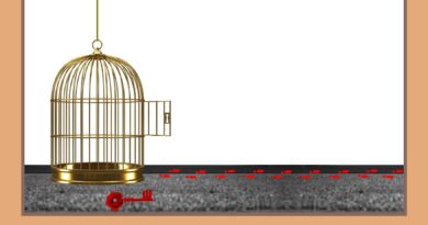 Cómplices de la indignidad