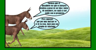 Experimentos con gaseosa