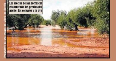 Leonardo y Marta declarados «persona non grata»