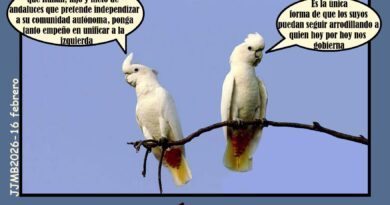 No hay interés desinteresado