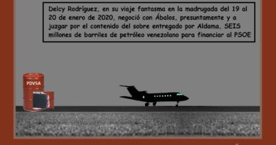 Asuntos bajo investigación