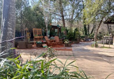 El Aula de Educación Ambiental de Pozuelo celebra la primavera con un programa centrado en las familias