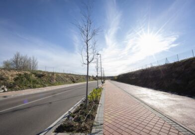 Boadilla implanta alcorques en avenida Tercios de la Legión Boadilla implanta alcorques en avenida Tercios de la Legión