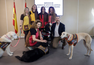La Comunidad de Madrid asiste en 2025 a más de 150 menores con perros de apoyo en las sedes judiciales de la región La Comunidad de Madrid asiste en 2025 a más de 150 menores con perros de apoyo en las sedes judiciales de la región
