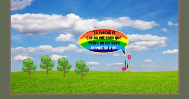 Cuerpos ministeriales