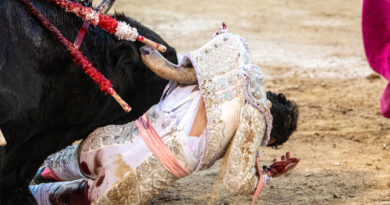Cristian Pérez, triunfo y sangre en Madrid