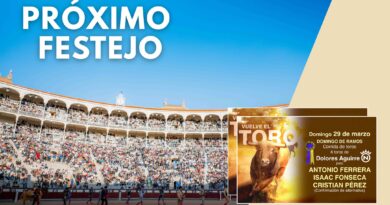 Toros Domingo de Ramos en Las Ventas