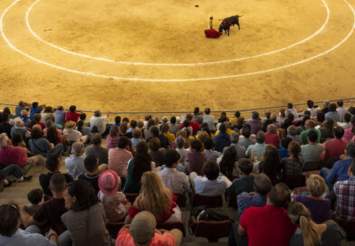 Cartel de lujo para este sábado en el II Festival de Primavera de Las Rozas Cartel de lujo para este sábado en el II Festival de Primavera de Las Rozas