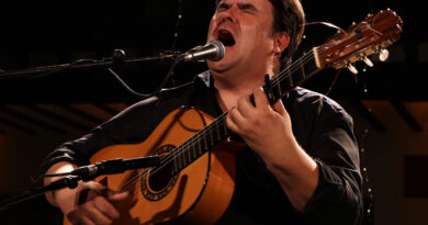 Guadarrama vuelve a disfrutar del flamenco con la figura de Ricardo Fernández del Moral Guadarrama vuelve a disfrutar del flamenco con la figura de Ricardo Fernández del Moral