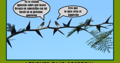 Lesiones bajo sospecha