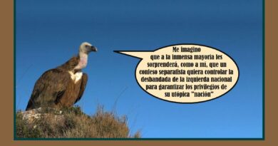 Los mundos de «Rufi»