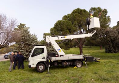 Boadilla comienza la campaña anual de control de la procesionaria del pino Boadilla comienza la campaña anual de control de la procesionaria del pino