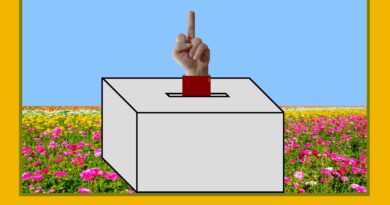 Si quieren elecciones, que las pidan