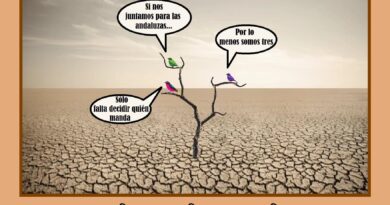 Sociedades ilimitadas