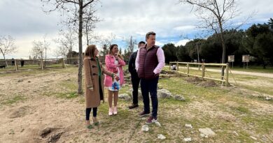 Galapagar impulsa el “Año de los Parques” con la renovación integral del área de Agility en El Toril Galapagar impulsa el “Año de los Parques” con la renovación integral del área de Agility en El Toril