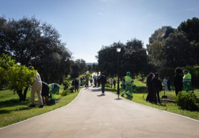 Un centenar de nuevos árboles refuerzan la senda verde entre el parque del Pilar y la Casa de Aves en Boadilla del Monte Un centenar de nuevos árboles refuerzan la senda verde entre el parque del Pilar y la Casa de Aves en Boadilla del Monte