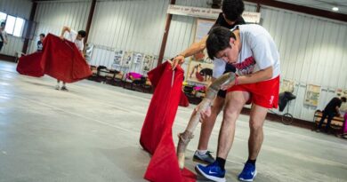 La Escuela Taurina José Cubero «Yiyo» galardonada con la Medalla de Honor de la ciudad de Madrid