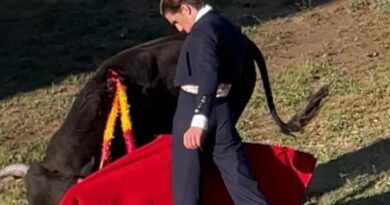 Sensacional Tentadero en Cenicientos