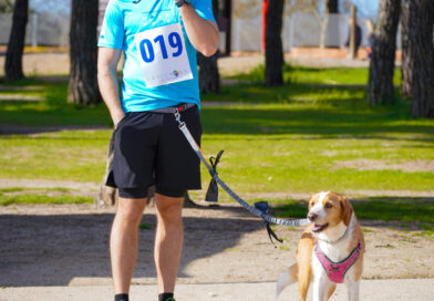  La III edición de CaniCross Las Rozas, el Mercado Vecinal de Segunda Mano,y  fiestas de Las Matas  para el fin de semana